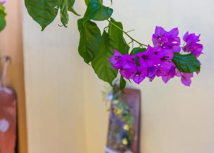 Kuca Kala C Hébergement de vacances *